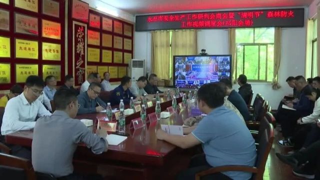 祁阳市参加永州市安全生产工作研判会商会暨“清明节”森林防灭火工作视频调度会议