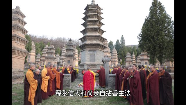 释永信近况照片:清明祭祖,率领两序大众来到塔林扫塔祭拜祖师