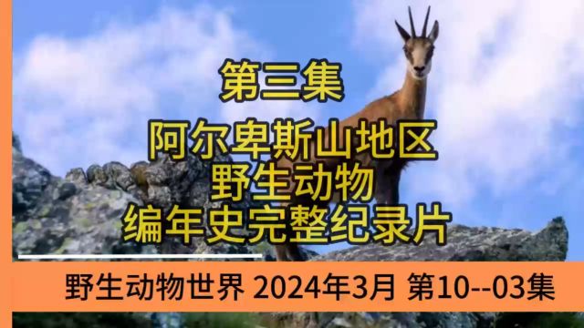 第三集动物世界阿尔卑斯山地区的野生动物编年史完整纪录片