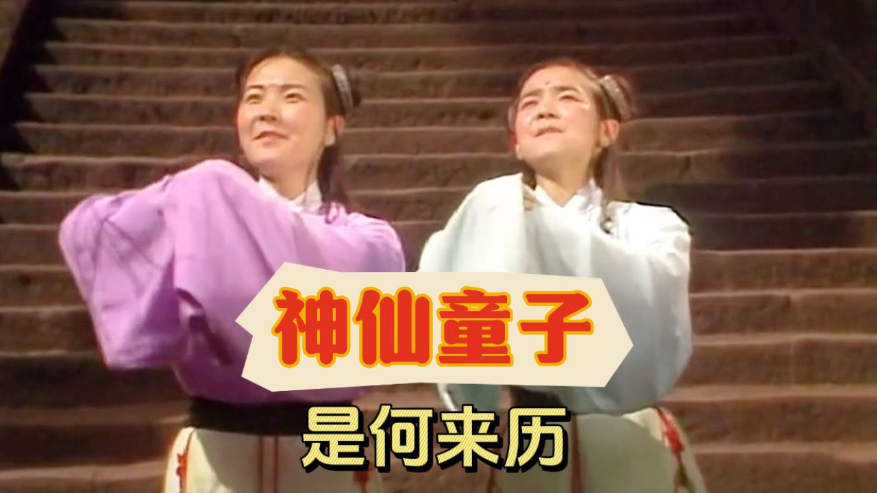 你知道天界神仙身边的随侍童子,都是从哪来的吗?