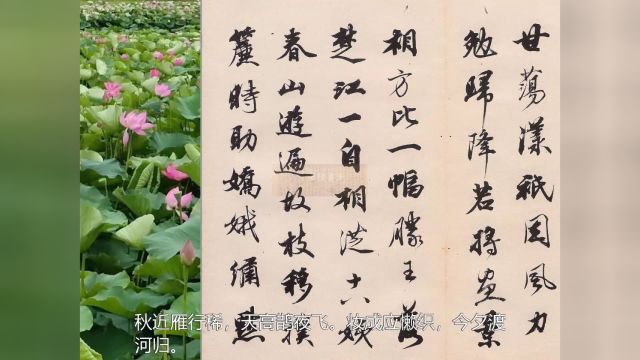 唐诗朗诵《七夕》唐 沈佺期 书法 王文治行书《王梦楼落花诗帖》