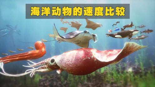 3D模拟：海洋动物的速度比较