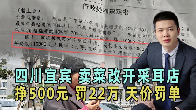 卖菜改开采耳店,获利500块,被罚22万,四川宜宾疑现天价罚单!