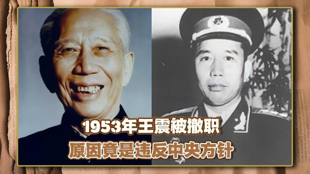 1953年王震将军违反中央方针被撤职,毛主席怒斥:你坏了我的大事