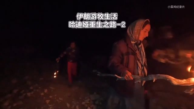 哈迪亚独自带着两个孩子遭遇狼群 哈迪亚母女三人被丈夫扔在了野外,遭遇了狼群太惊险了