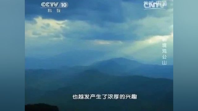 美丽中国|中华名山系列纪录片《河南鸡公山》中国四大避暑胜地(5A)