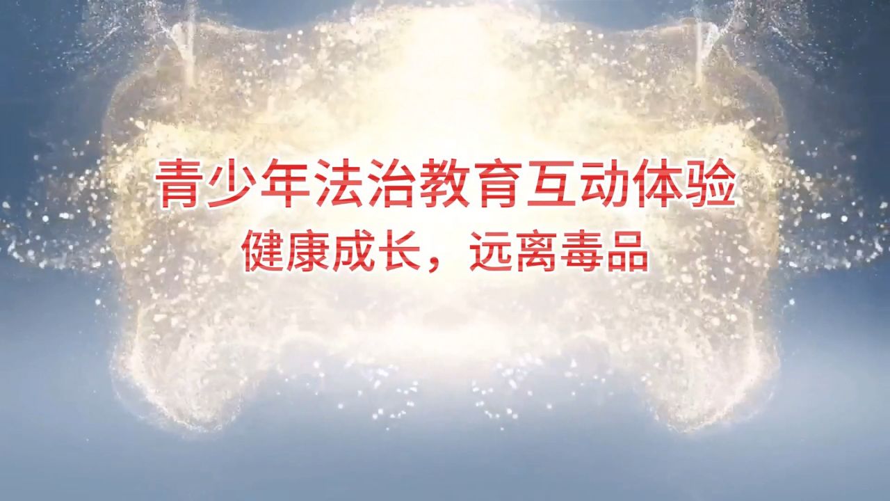 青少年法治教育互动体验