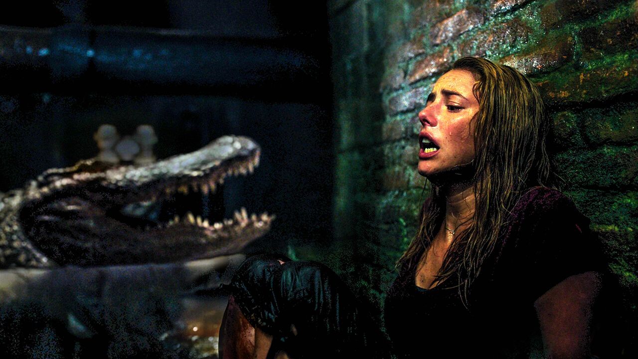 巨鳄风暴:心跳瞬间,你能否抓住命运的尾巴?