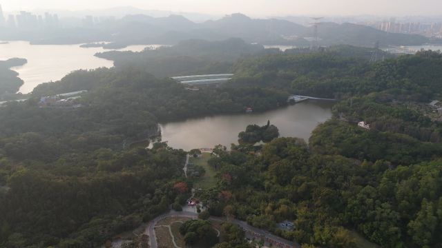 航拍深圳弘法寺