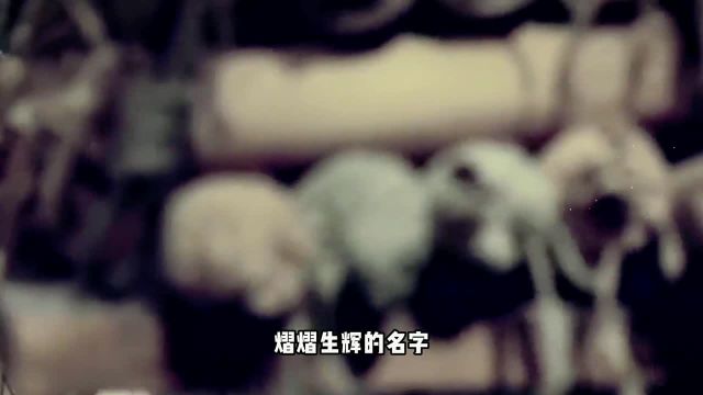 汉朝:历史的丰碑,一部繁荣与挑战并存的时代画卷