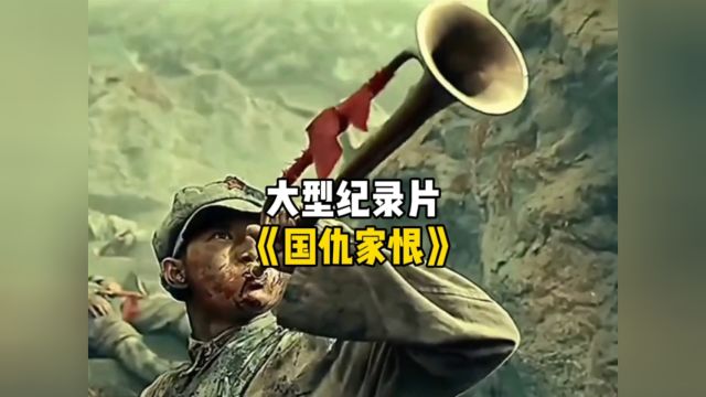 大型纪录片《国仇家恨》