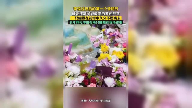 李玟过世后的第一个清明节墓地摆满了她最爱的紫色鲜花一只蝴蝶在花海中久久不愿离去去年葬礼中也有两只蝴蝶在现场徘徊