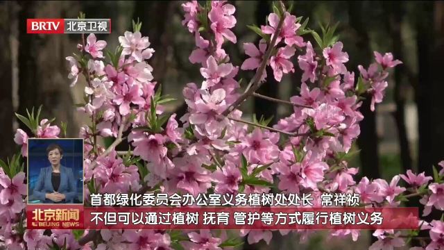 北京迎来第40个首都义务植树日