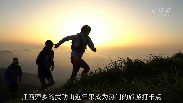 乡村新引力丨年轻人趋之若鹜的“世外高山”