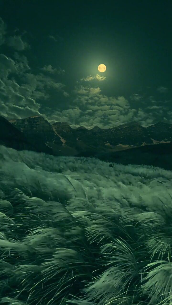 什么样的人,才会喜欢这样的夜景氛围. #唯美意境