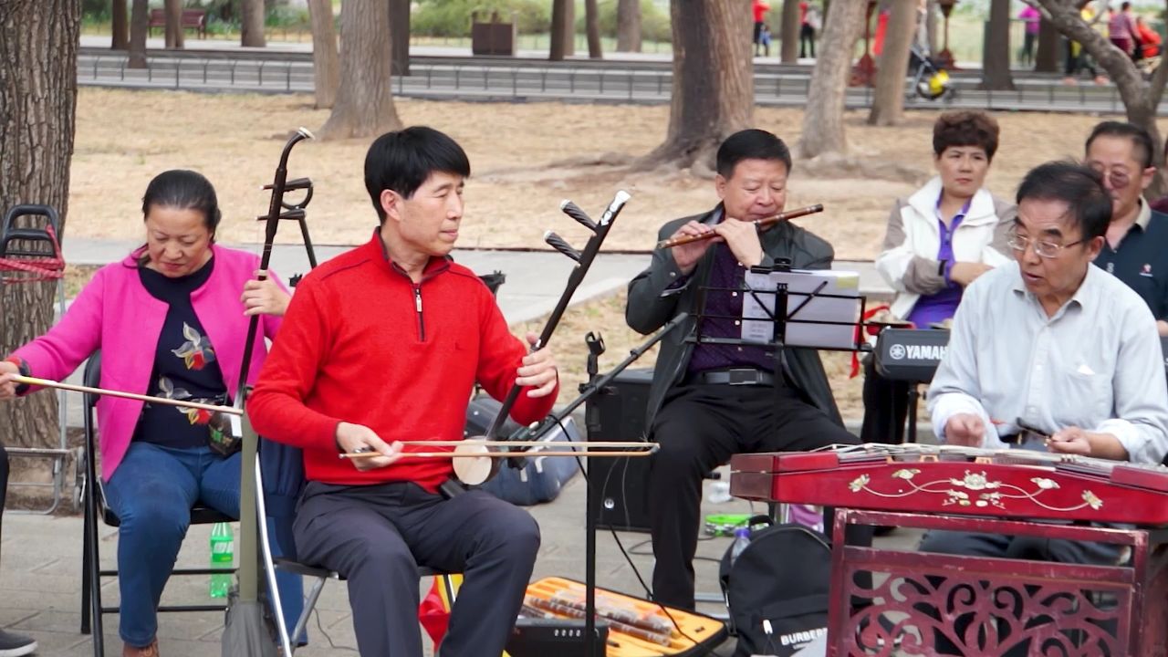 桃花红杏花白器乐演奏图片