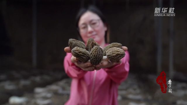 千城百县看中国|河北藁城:打造特色休闲农业 助农增收促振兴