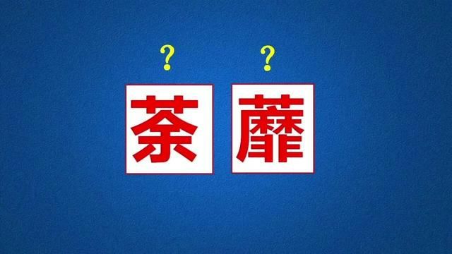 一看到“荼蘼”这个词语,就感觉充满了生命力 #荼蘼 #汉字 #字音 #语文 #词语积累