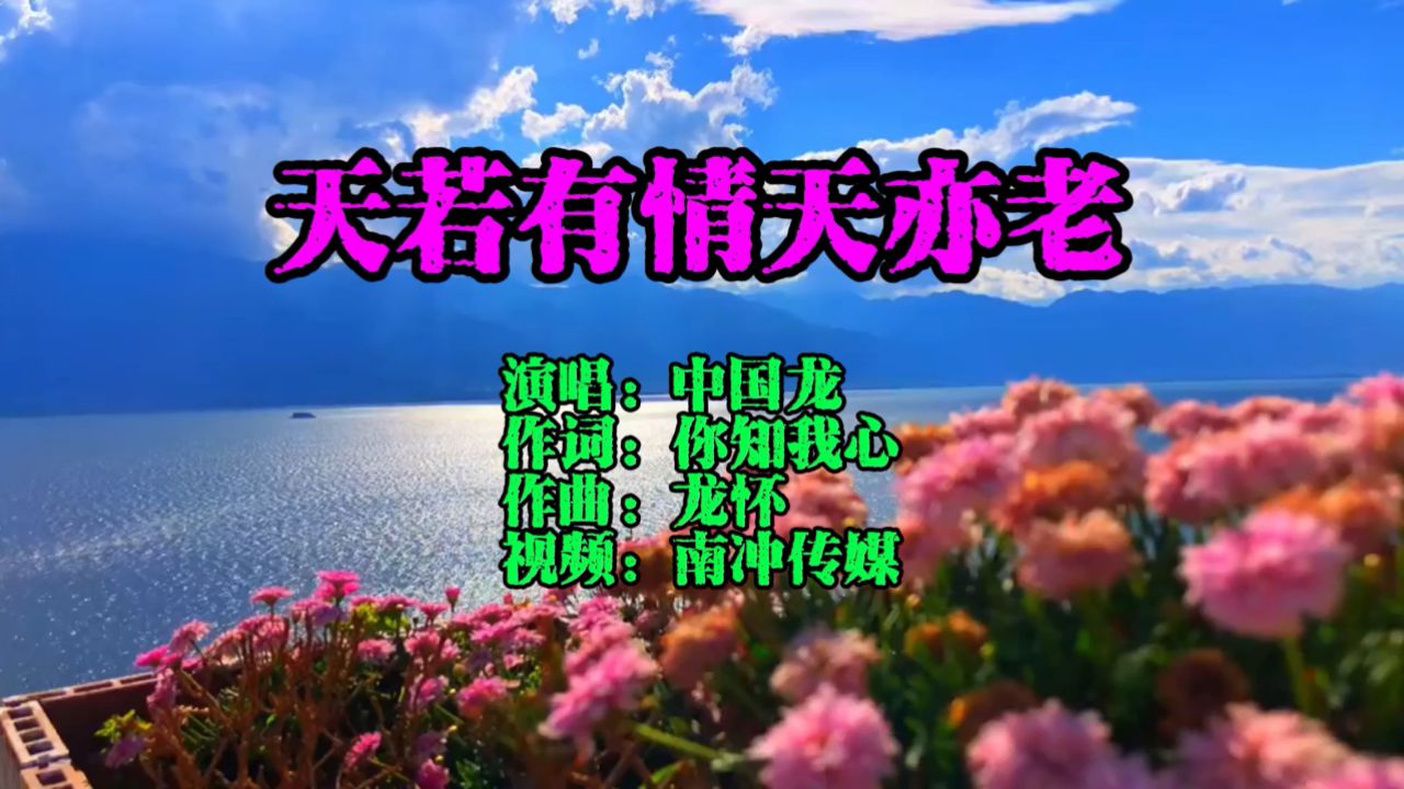 天若有情天亦老-中国龙演唱