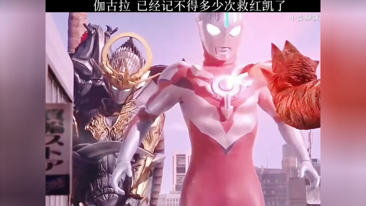 伽古拉:已经记不得多少次救红凯了