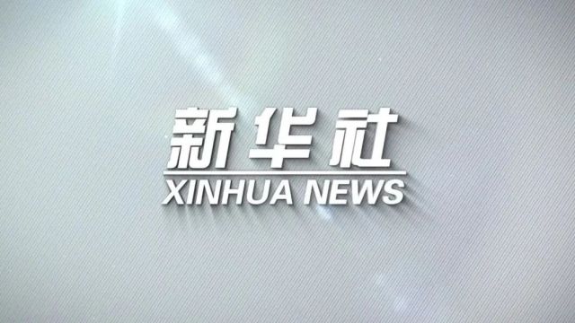 7年新入侵344个县市区,红火蚁为啥难防难控?(多图慎点)