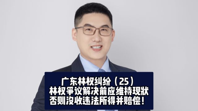 广东林权纠纷(25):林权争议解决前应维持现状,否则没收违法所得并赔偿!