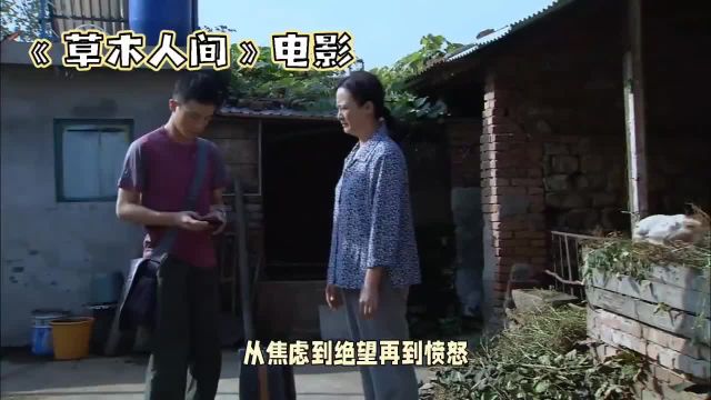 《草木人间》让我们看到了母爱的伟大和人性的光辉,也让我们对传销有了更深刻的认识.#影视解说 #电影解说 #影视分享 #我的观影报告