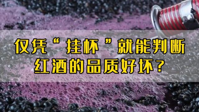 拉图卡梅尔骑士:仅凭“挂怀”就能判断红酒的品质好坏?