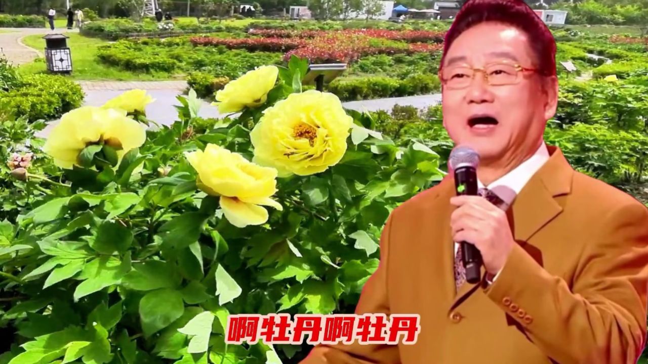 蒋大为演唱《牡丹之歌》百听不厌.