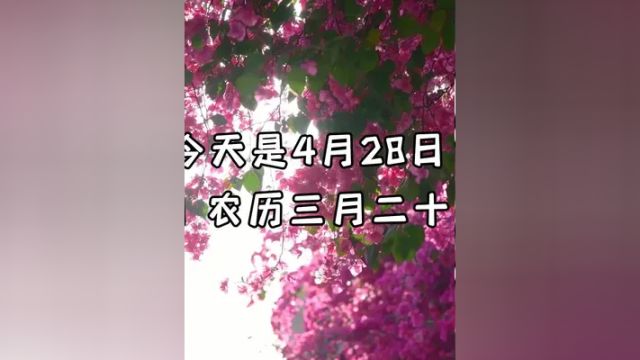 今天是4月28日,星期日,农历三月二十,大家早安.过好每一天,演好当下的剧本,朝着心中那个标杆前行,人生的路途,有起点,也有终点,怀揣理想,...