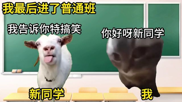 【初中篇】初一在普通班读书的体验是怎样的?#猫meme#初中#普通班#快点救救孩子吧#奇葩事件分享