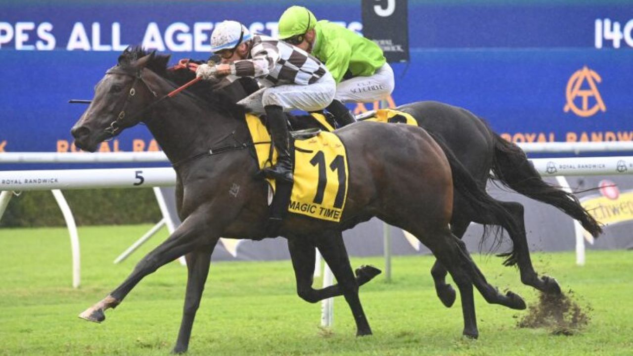 2024 全龄锦标赛 magic time