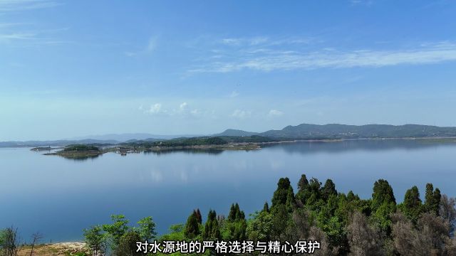 湖北丹江口旅游攻略,送给想去旅行的你