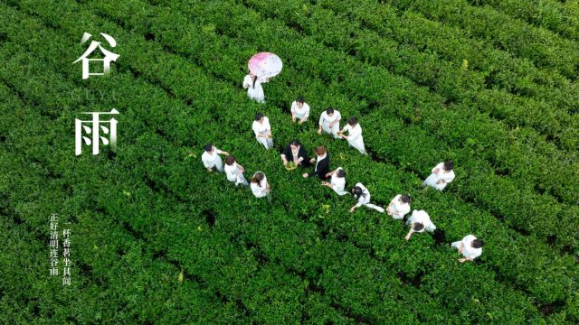 谷雨茶会 