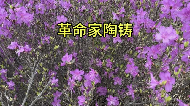 无产阶级革命家陶铸