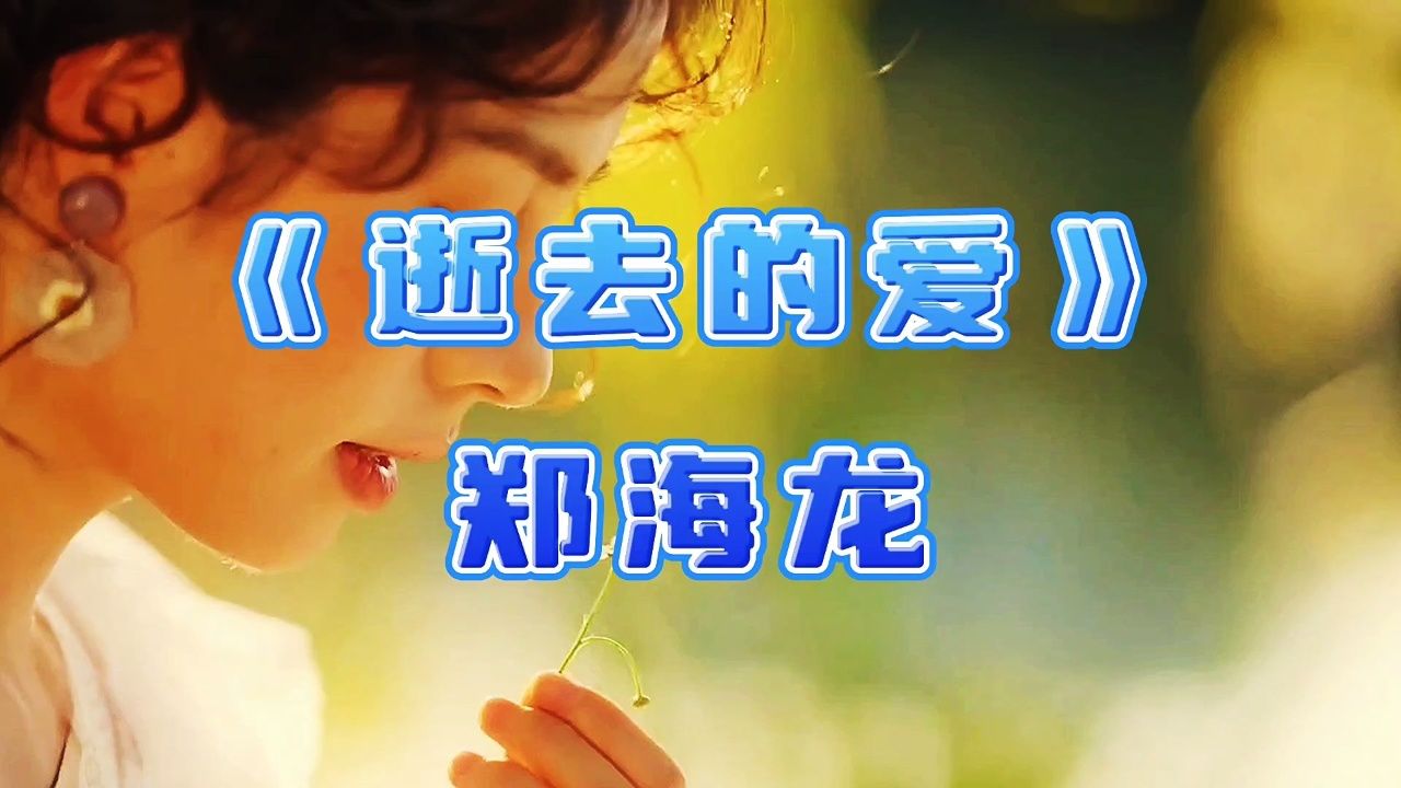 《逝去的爱》郑海龙