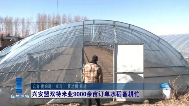 【千万工程 乡村行】兴安盟双特米业9000亩订单水稻备耕忙