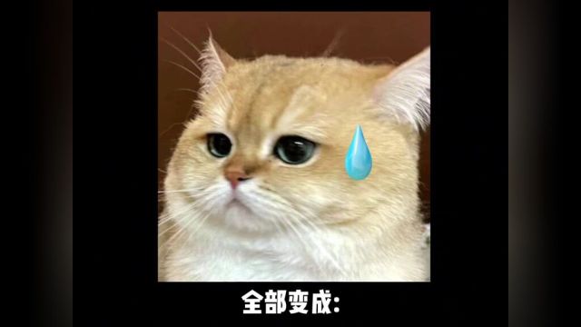 《挺搞笑的》#录音#内容过于真实