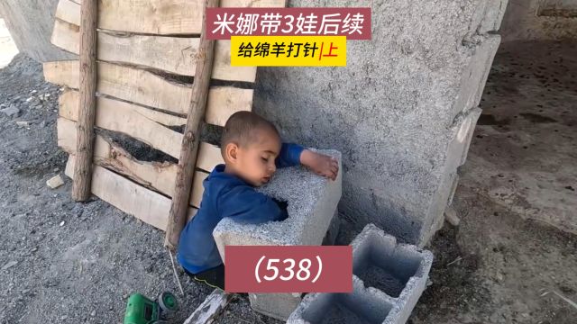 给绵羊打针!米娜纪录片后续538集,新家的完善(上)