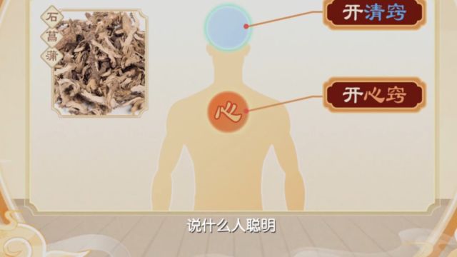 石菖蒲可以化痰开清窍,向下走可以开心窍,也可以开脾窍