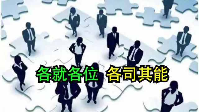 领导应该清楚地了解其下属的所长,让他们各就各位,各司其能#HR