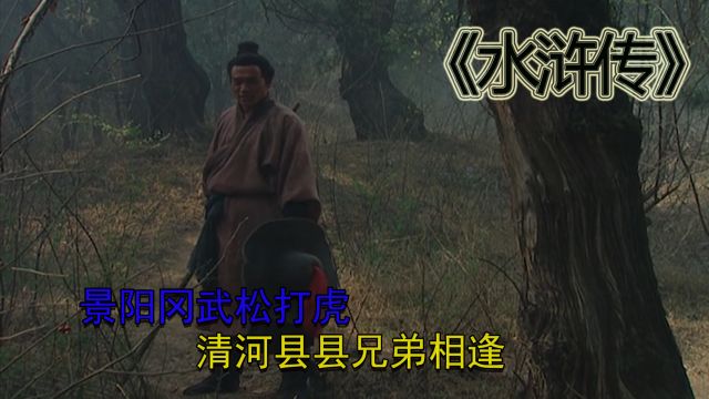 《水浒传》017:景阳冈武松打虎,清河县县兄弟相逢