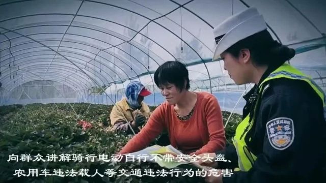 道交法实施20周年 河北交警多元化开展普法宣教活动 | 法润平安 文明相伴