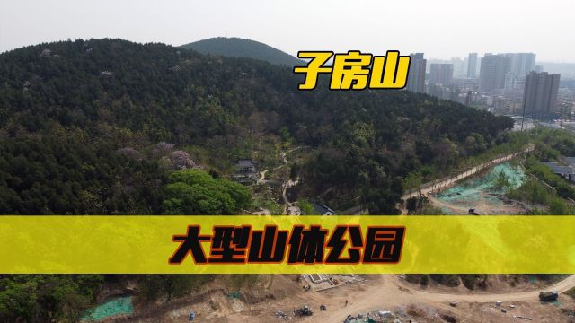 徐州又一大型山体公园即将建成,探子房山公园