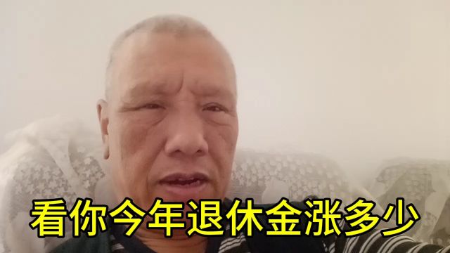 2024年退休金调整方案.看你能开多少钱