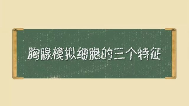 胸腺模拟细胞的三个特征