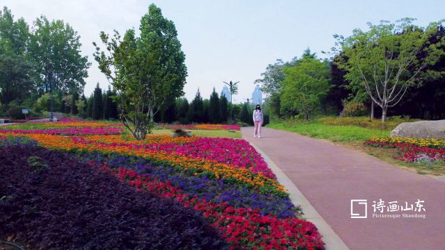 诗画山东丨夏花绚烂草木葱郁 枣庄龟山公园吸引市民醉心游玩