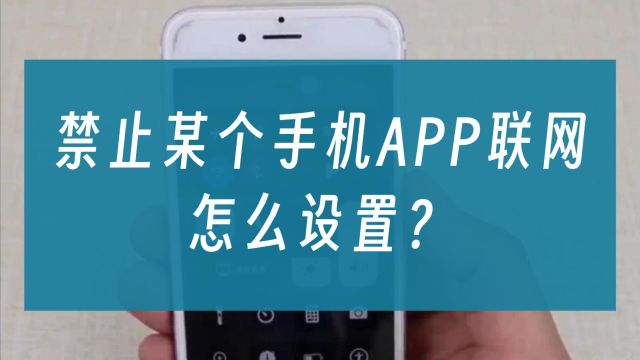 如何禁止某个手机APP联网?怎么设置?