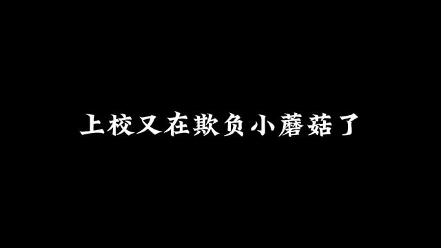 小蘑菇可爱到了 上校又在欺负小蘑菇了