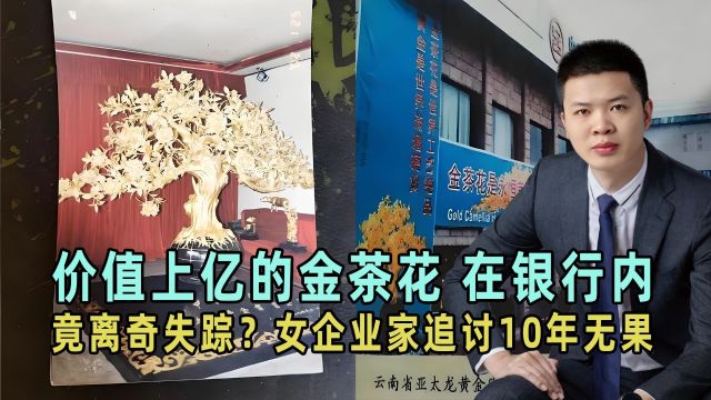 价值上亿的金茶花,在银行内竟离奇失踪?女企业家追讨10年无果